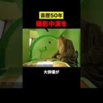 芸歴50年の大俳優が撮影中に泣いた理由