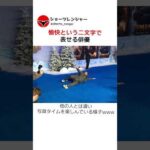 愉快という二文字で表せる俳優