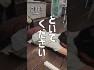 これだから今の若者は…