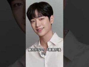 Part 2_日本で最も嫌われている韓国俳優トップ4